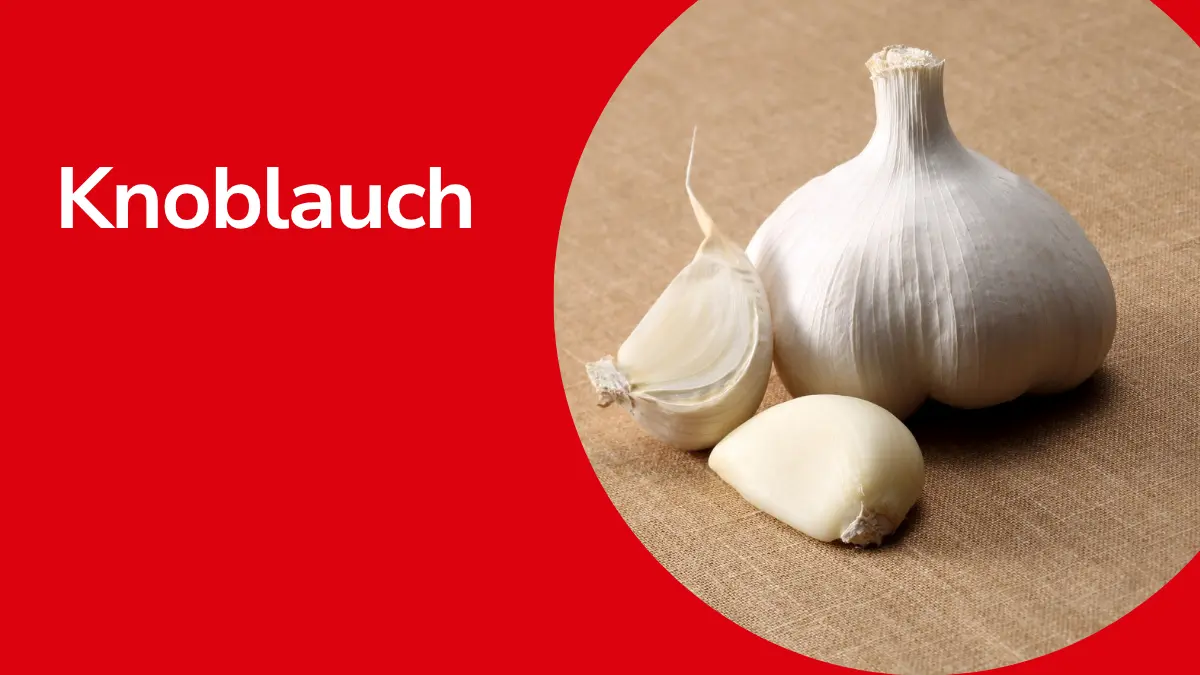 Knoblauch mit Text ,,Knoblauch"
