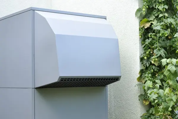Wärmepumpe Hauswand und grüne Rankpflanze