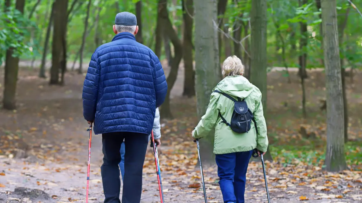 Zwei Senioren wandern im Wald