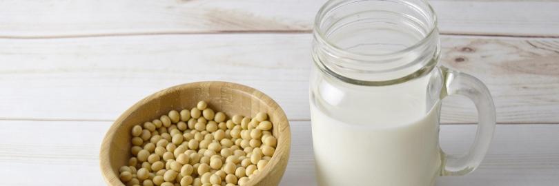 schüssel mit Sojabohnen und ein Kanne mit Flüssigkeit