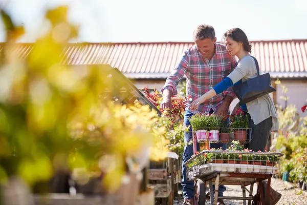 Ein Paar sucht im Gartenmarkt Pflanzen aus