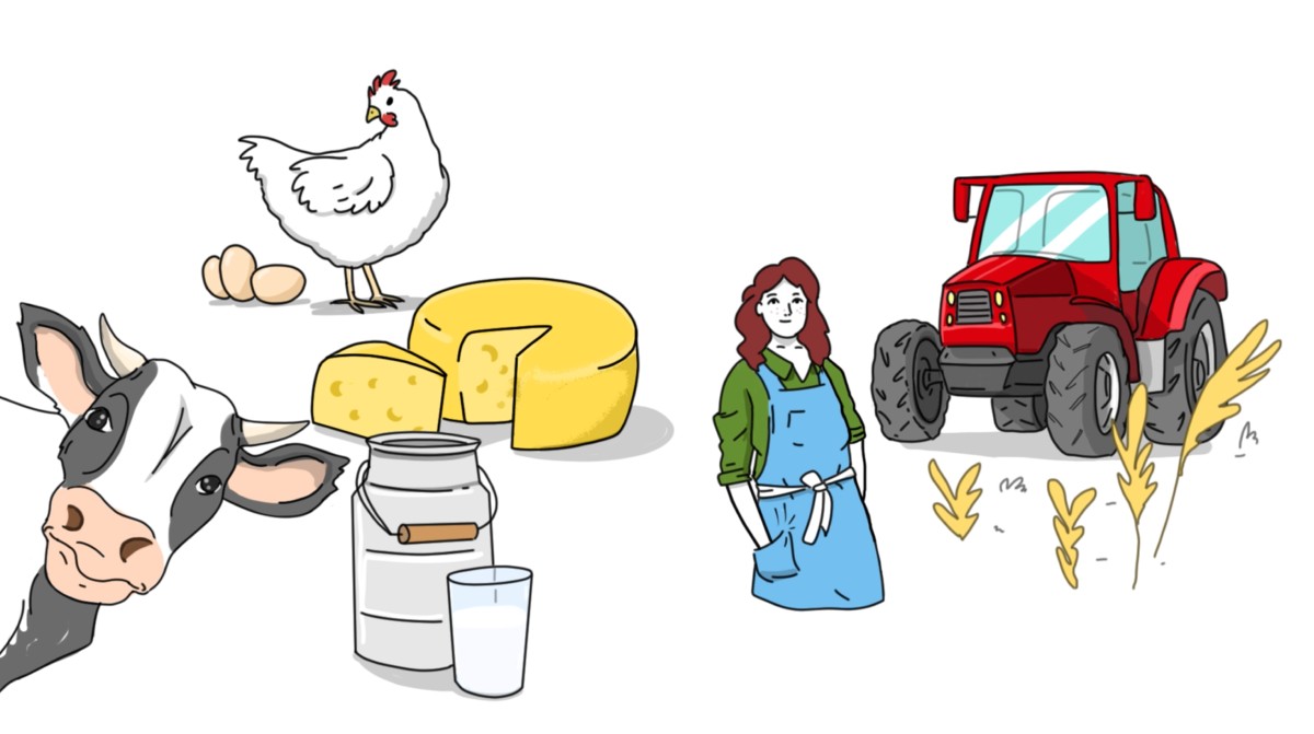 Screenshot aus dem Video, ein Kuh, en Traktor, Milch und Käse, eine Frau bei der Ernte 