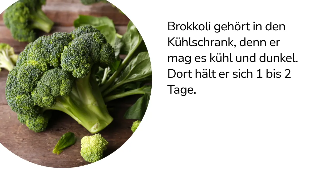 Brokkoli mit Text ,,Brokkoli gehört in den Kühlschrank, denn er mag es kühl und dunkel. Dort hält er sich 1 bis 2 Tage."