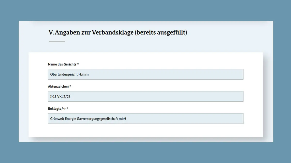 Screenshot der Webseite des Bundesjustizamts: Angaben zur Klage im Formular