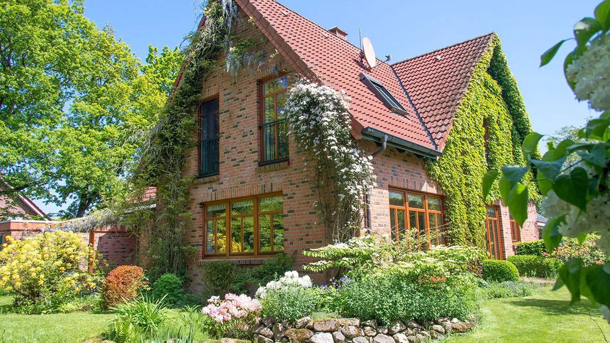 Einfamilienhaus mit Fassadenbegrünung an mehreren Seiten