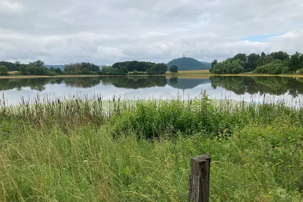 Weites Feld mit Burg im Hintergrund