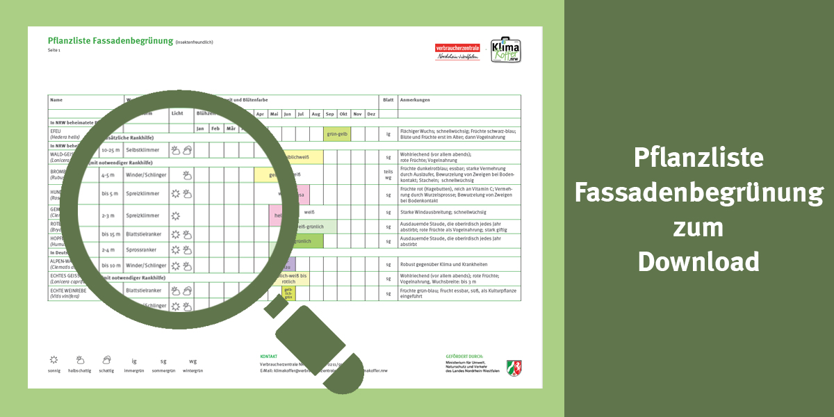 Pflanzliste mit Lupensymbol als Einstiegsbild in die Pflaszliste Fassadenbegrünung