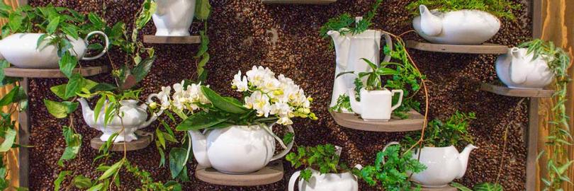 Upcycling: Alte Kaffeekannen werden als Pflanzgefäß genutzt