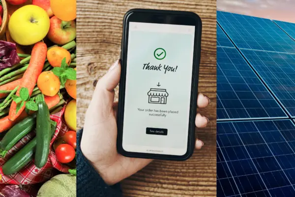 Gemüse und Obst, Online-Shopping mit dem Handy, installierte Photovoltaikanlage