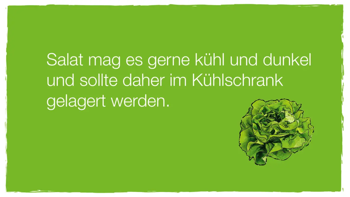 Lagerungsinformation Salat