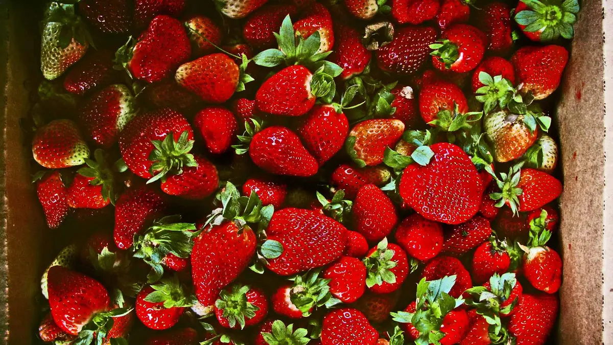 Erdbeeren