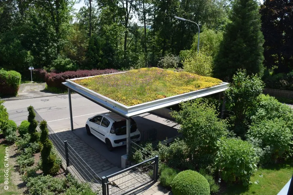 Dachbegrünung Parkplatz
