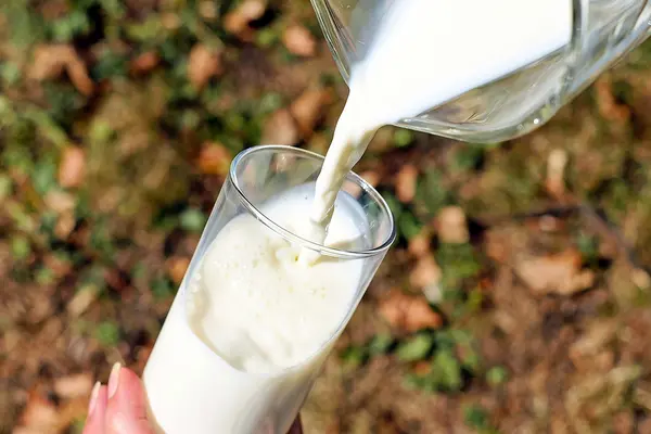 Frau gießt Milch aus einer Kanne in ein Glas auf einem Feld