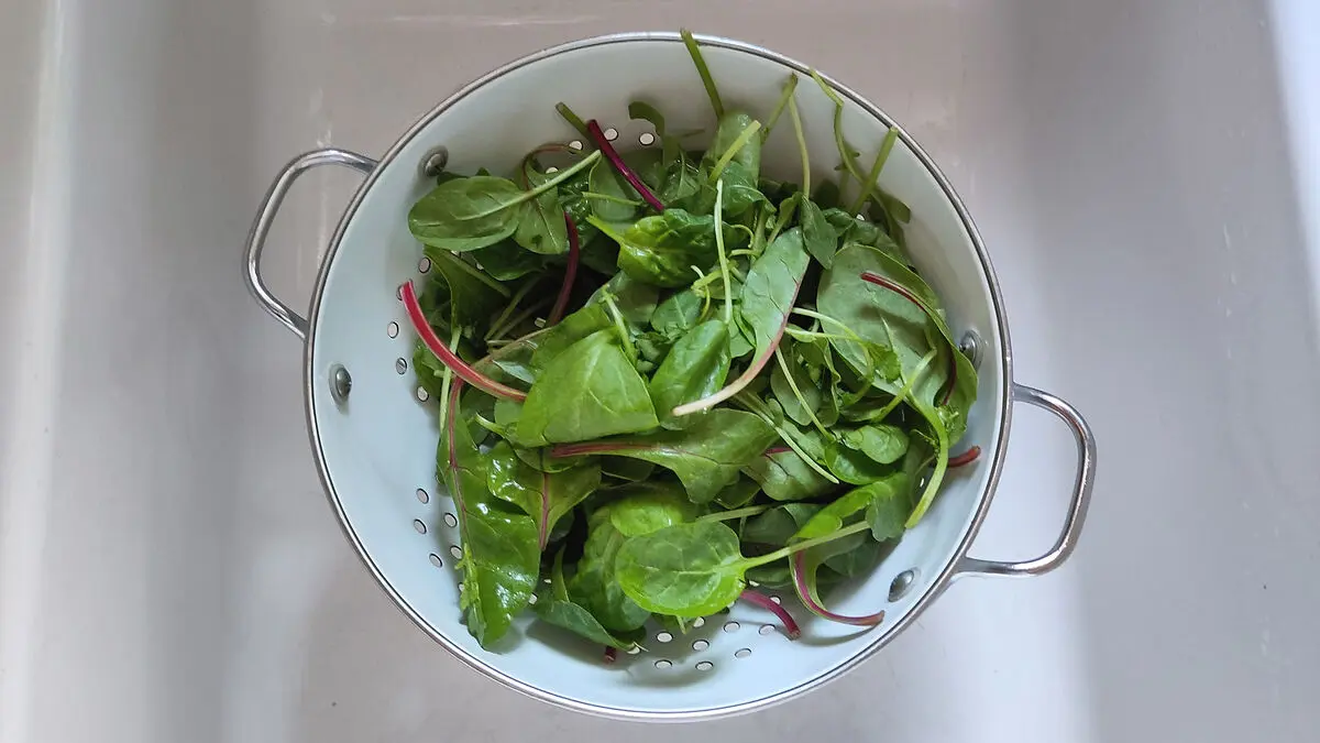 In einem weißen Sieb liegt vorgeschnittener Salat