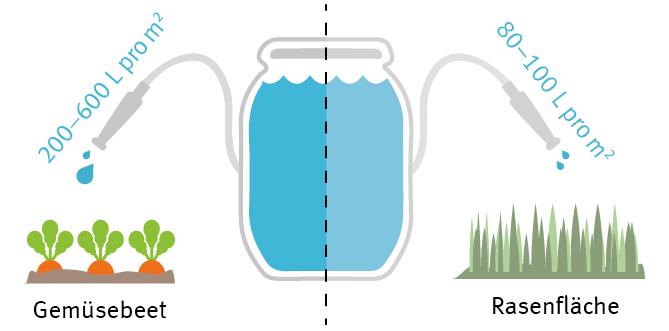 Wasserbedarf für 1m² Gemüsebeet und 1m² Rasenfläche