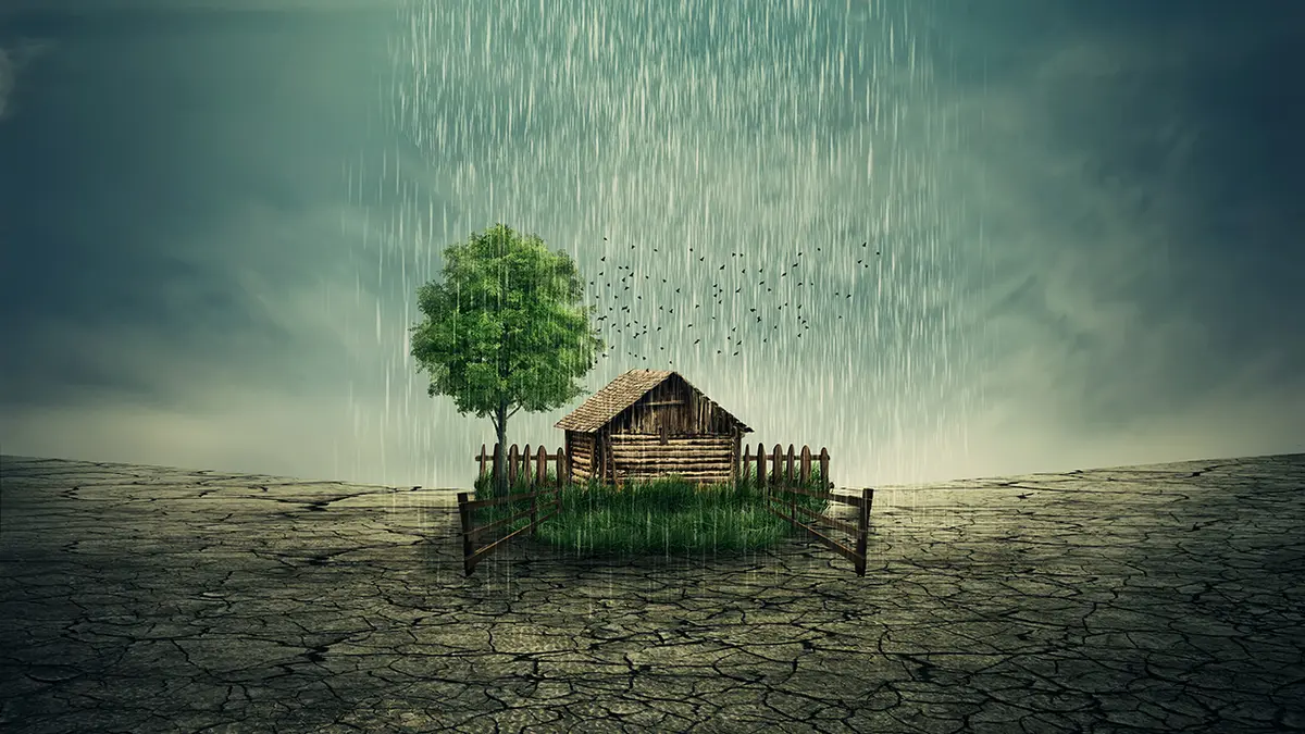 Haus in trockener Umgebung mit Baum und Regen