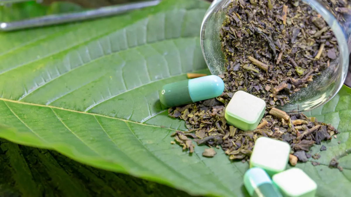 Kratom Wirkung gegen Schmerzen, Entzündungen oder Depressionen ist nicht belegt