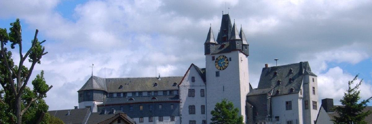 Häuser einer Stadt und im Hintergrund ein Schloss.