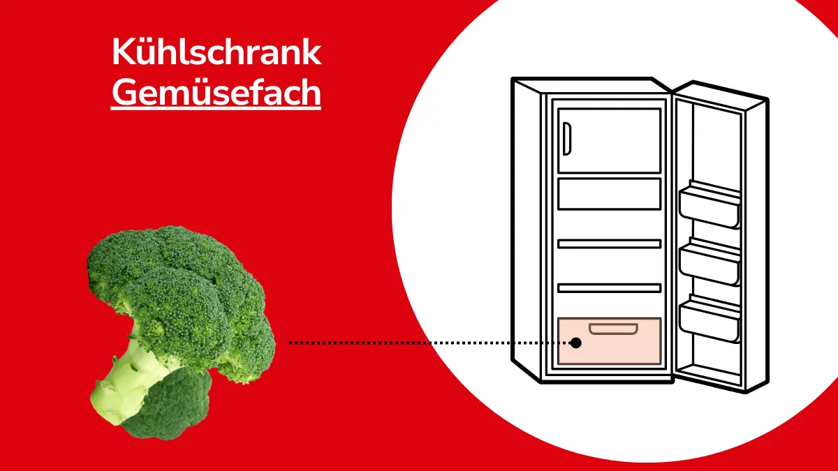 Brokkoli und eine Linie, die auf einen Kühlschrank zeigt. Mit Text ,,Kühlschrank Gemüsefach"