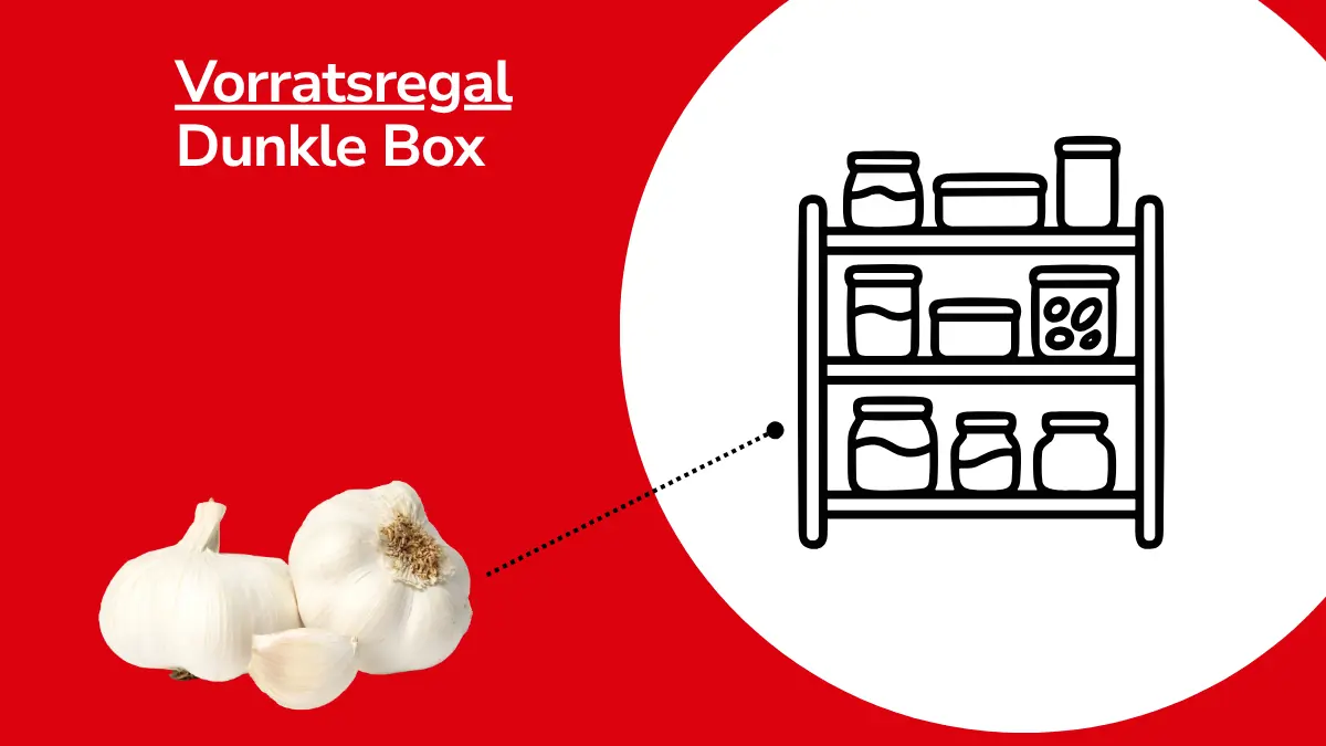 Knoblauch mit Linie, die auf ein Vorratsregal zeigt. Mit Text ,,Vorratsregal Dunkle Box"