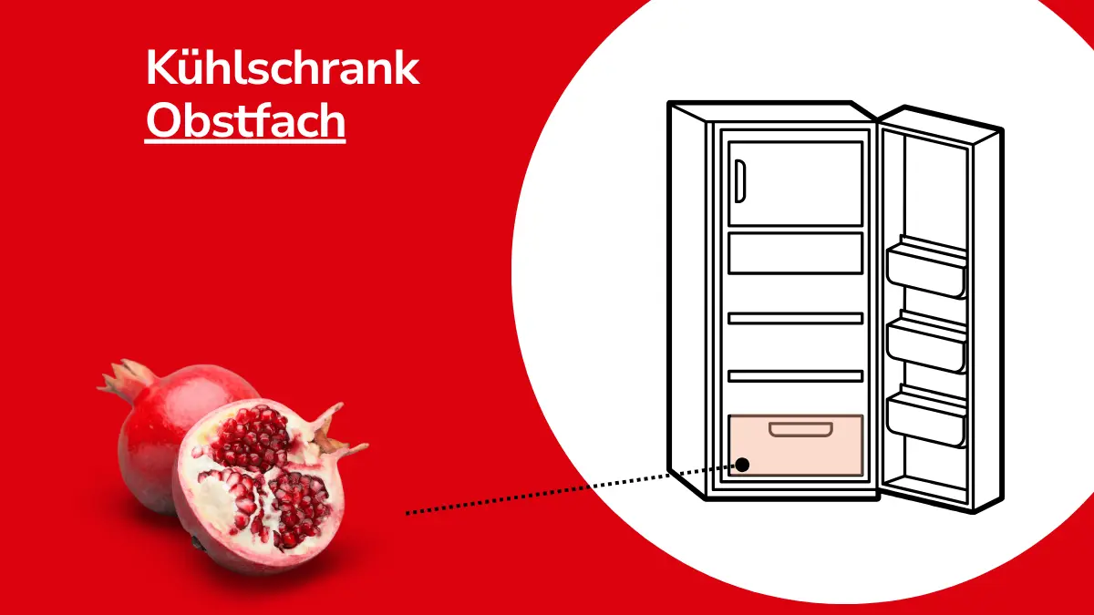 Granatapfel mit Linie, die auf einen Kühlschrank zeigt. Mit Text ,,Kühlschrank Obstfach"