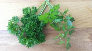 Petersilienstängel mit krausen und glatten Blättern liegen auf einem Holztisch.