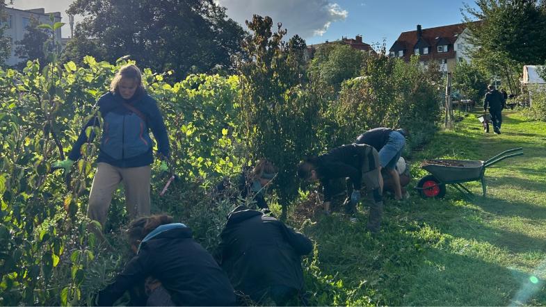 KlimalotsInnen Dresden: Workshop Urban Gardening