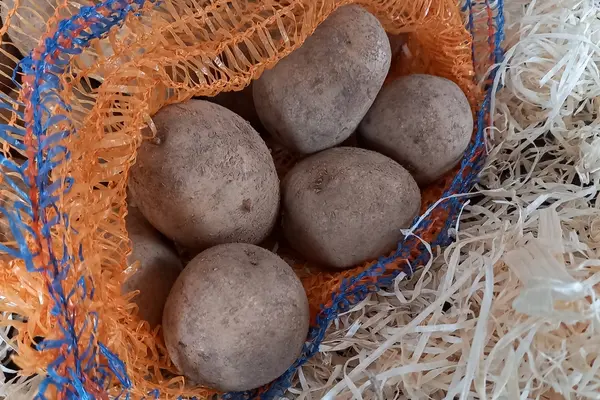 Kartoffeln in einem Plastiknetzbeutel