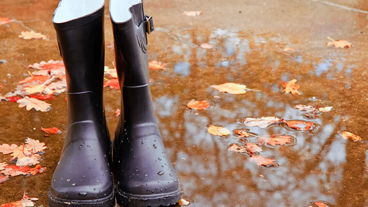 Gummistiefel in einer Pütze mit schwimmendem Herbstlaub
