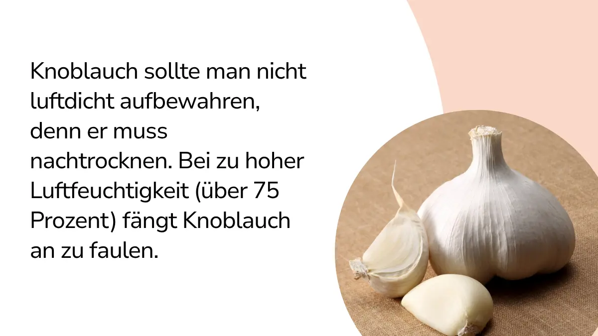 Knoblauch mit Text ,,Knoblauch sollte man nicht luftdicht aufbewahren,denn er muss nachtrocknen. Bei zu hoher Luftfeuchtigkeit (über 75 Prozent) fängt Knoblauch an zu faulen."