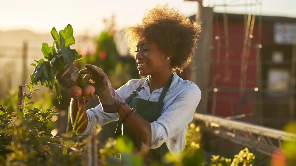 Frau arbeit in Urban Gardening Projekt