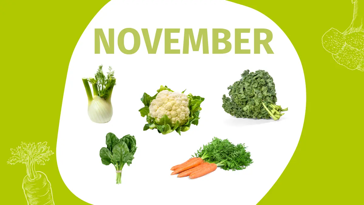 Schrift "November" und Fotos einiger Gemüsesorten