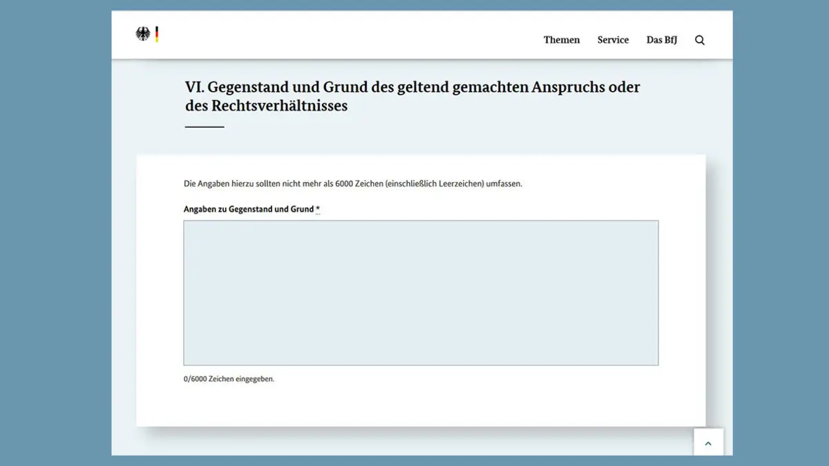 Screenshot der Webseite des Bundesjustizamts: Angaben zum Klagegrund im Formular