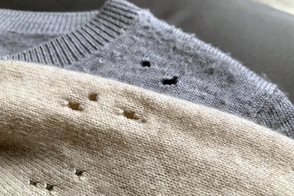 Pullover mit Fraßlöchern