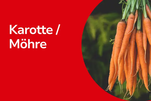 Karotten mit Text ,,Karotte/ Möhre"