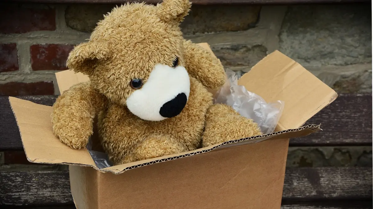 Teddybär in einem Karton