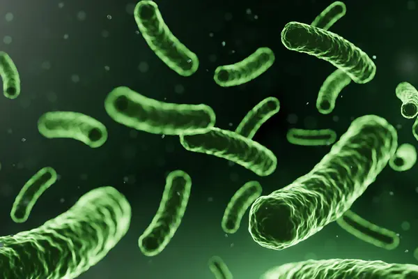 Mikroorganismen – gut investiert für Verdauung und Immunsystem?