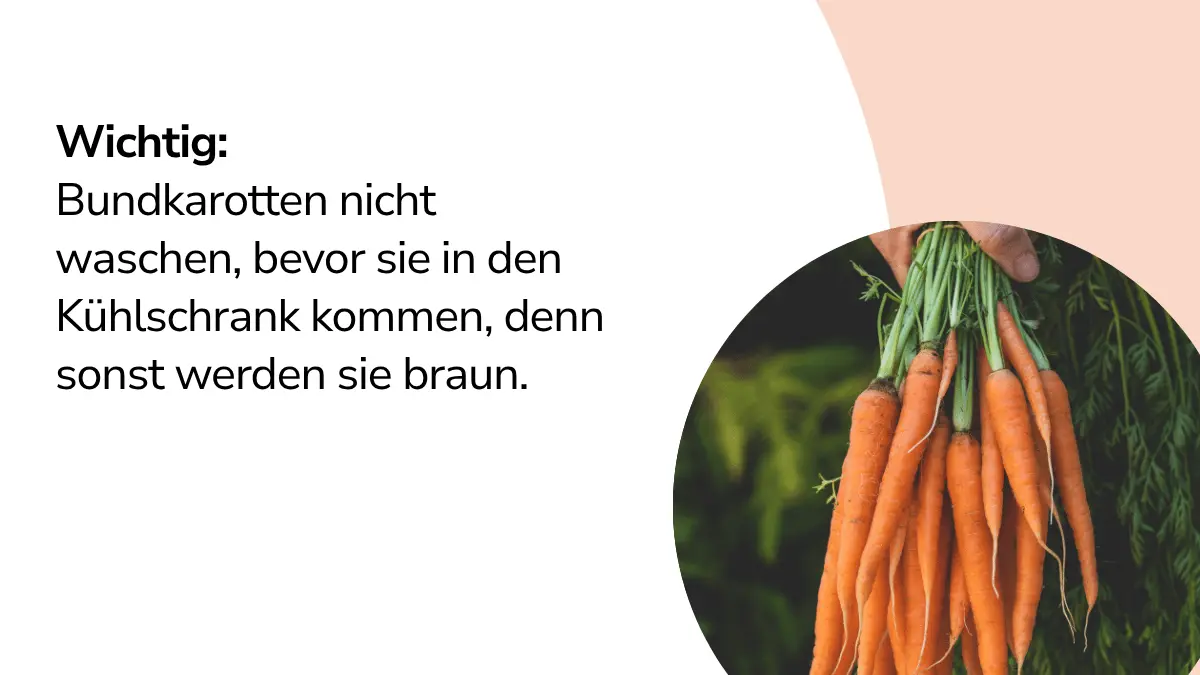 Karotten mit Text ,,Wichtig: Bundkarotten nicht waschen, bevor sie in den Kühlschrank kommen, denn sonst werden sie braun."