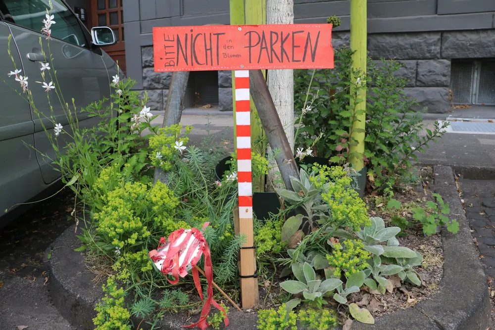 Begrünte Baumscheibe in der Stadt