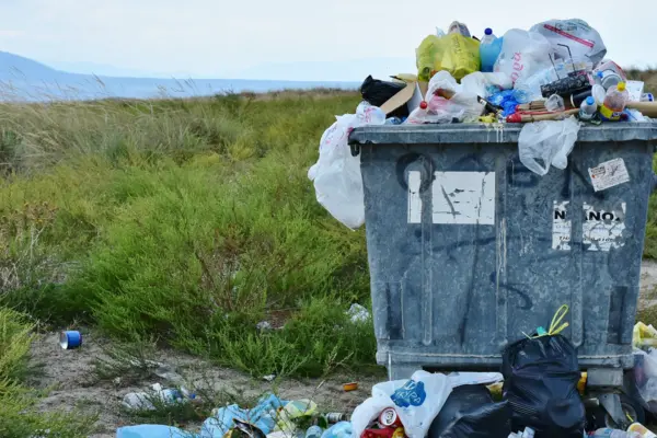 Eine überfüllter Müllcontainer steht an einer grünen Wiese