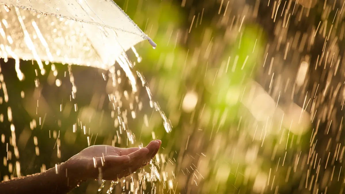 Regen und Regenschirm