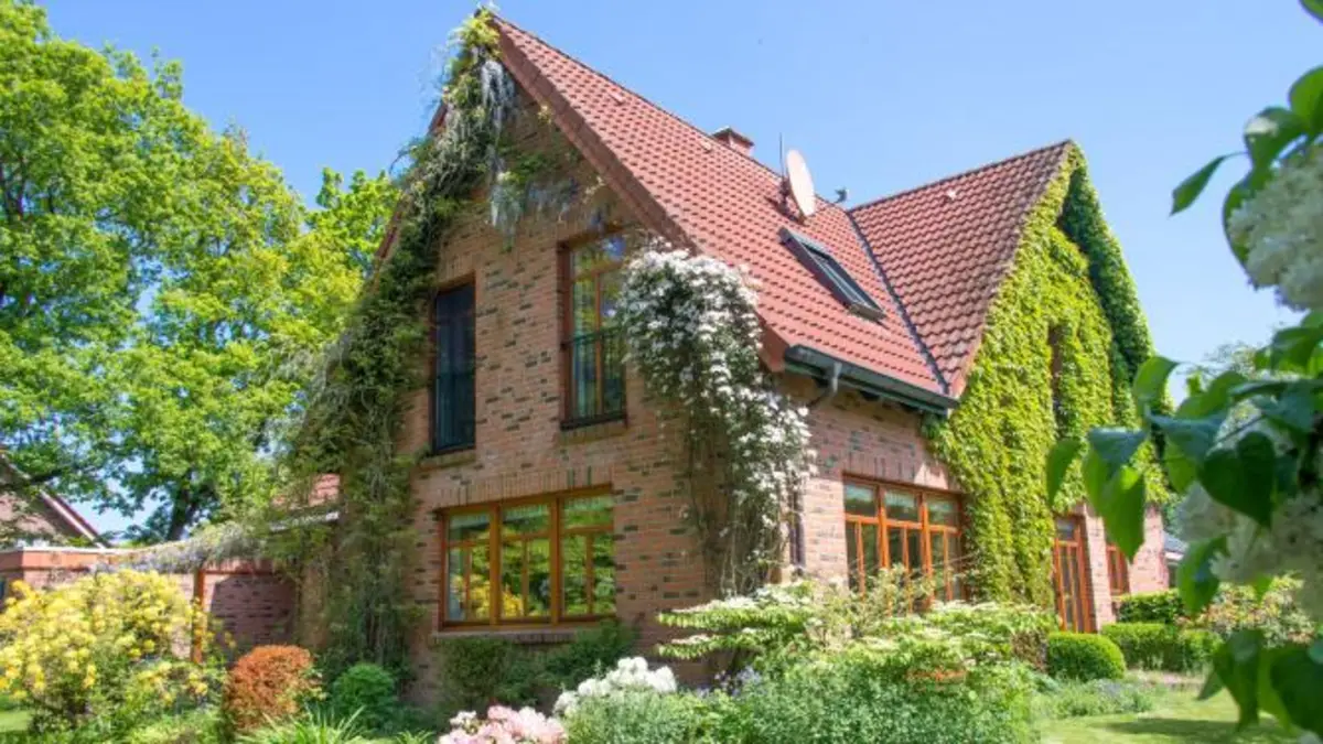 Kletterpflanzen am Einfamilienhaus