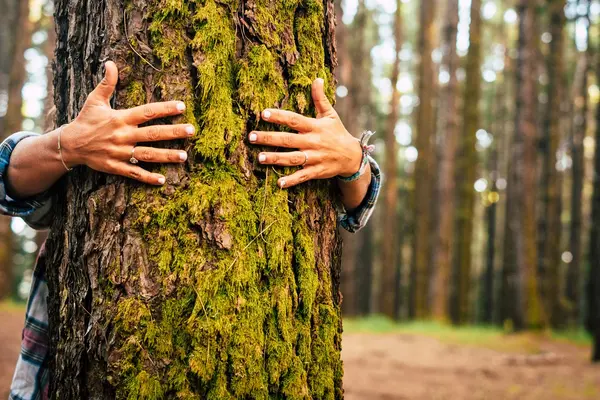 Mann umarmt Baum im Wald