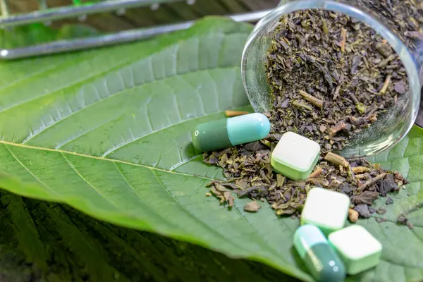 Kratom Wirkung gegen Schmerzen, Entzündungen oder Depressionen ist nicht belegt