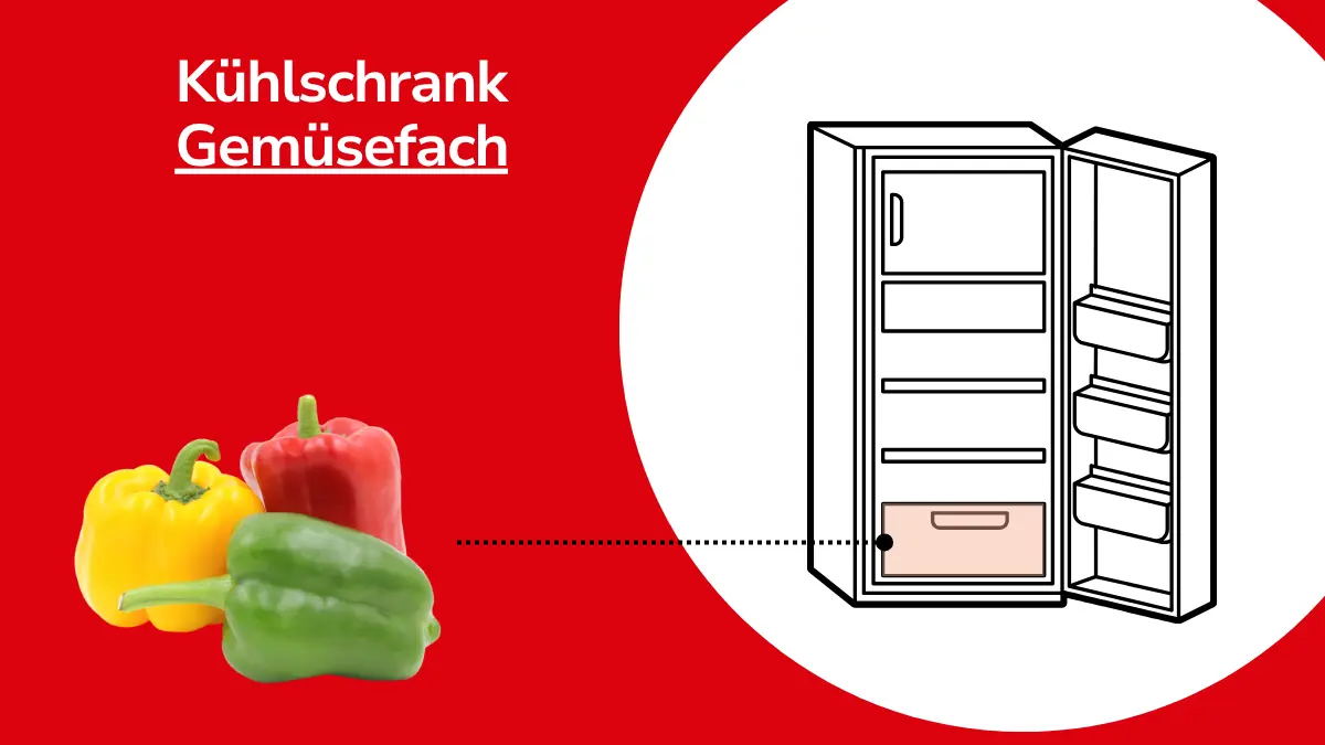 Paprikas mit Linie, die auf einen Kühlschrank zeigt. Mit Text ,,Kühlschrank Gemüsefach"