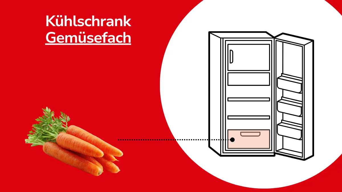 Karotten mit Linie, die auf einen Kühlschrank zeigt. Mit Text ,,Kühlschrank Gemüsefach"