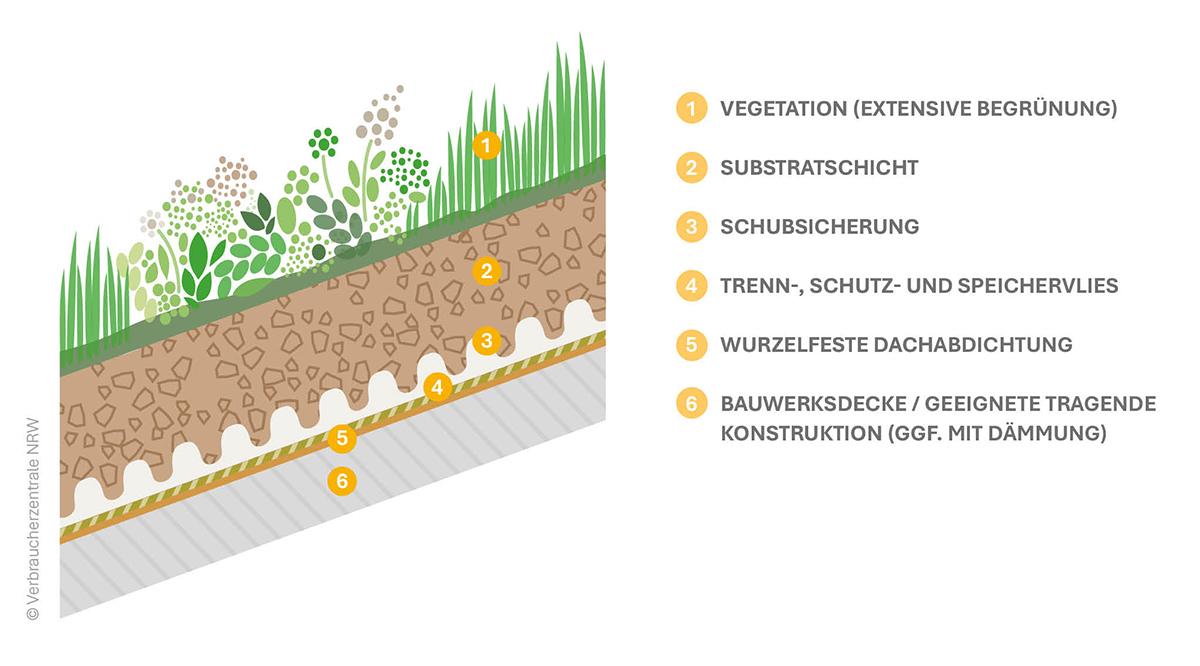 Grafische Darstellung einer SChr#gdachbegrünung und deren Schichten