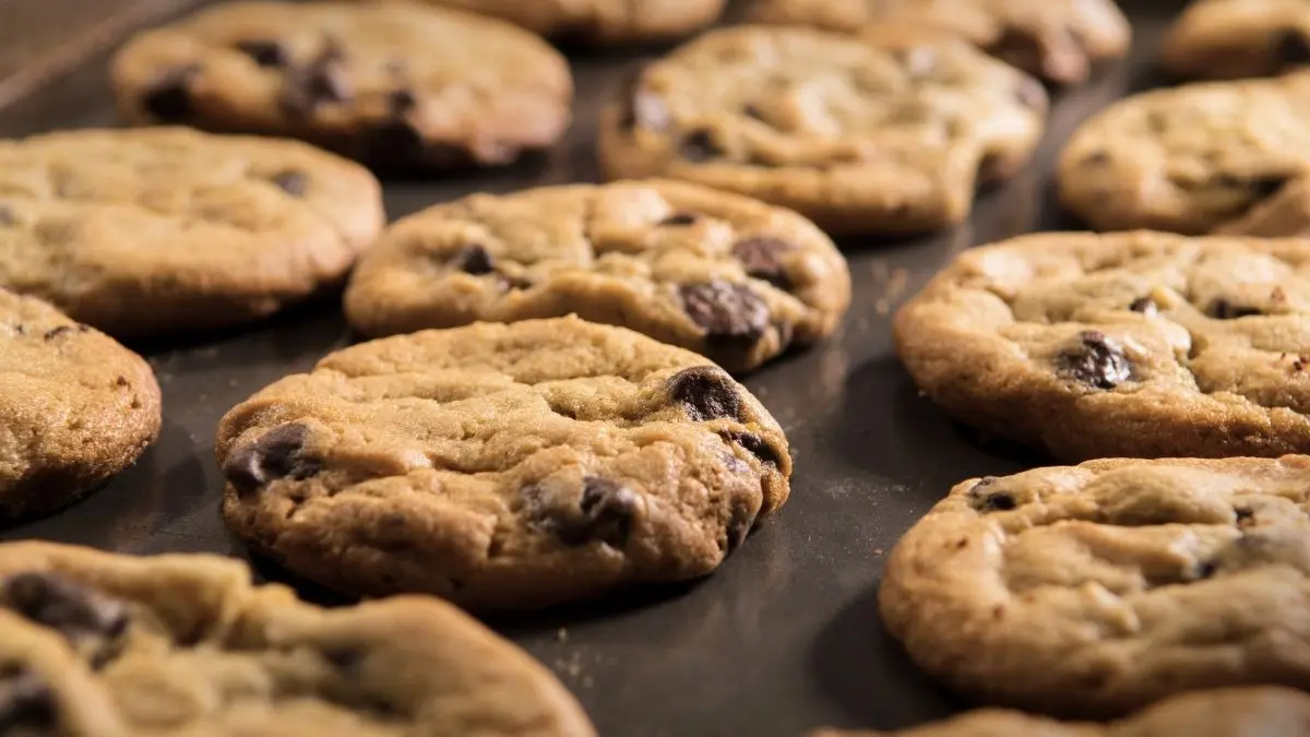 Chocolate Chip Cookies auf einem Backblech