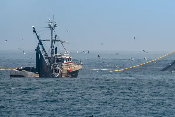 Fischerboote beim Fangen von Tintenfisch auf offener See