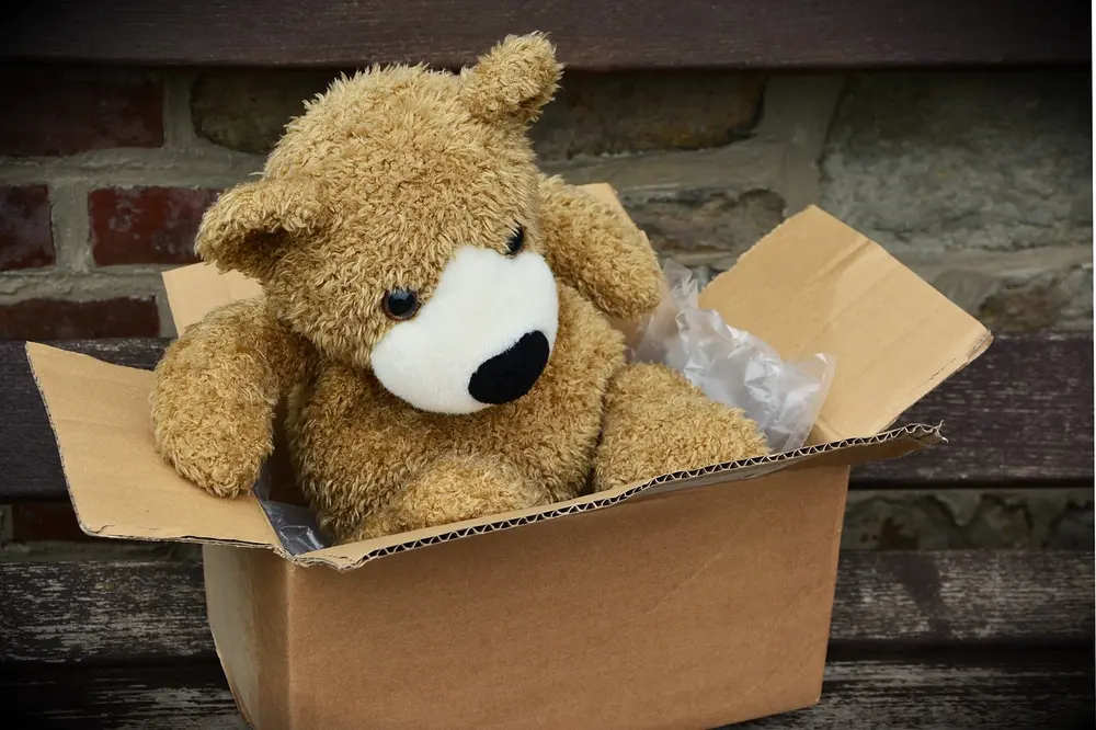 Teddybär in einem Karton